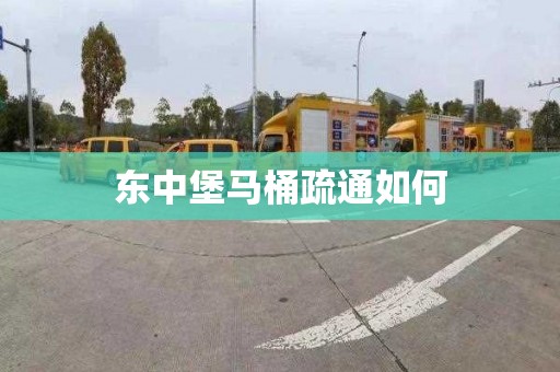 东中堡马桶疏通如何