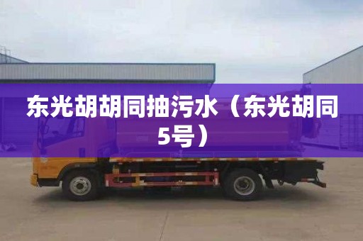 东光胡胡同抽污水（东光胡同5号）