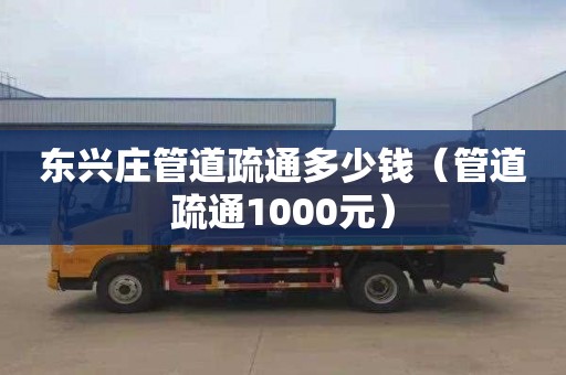 东兴庄管道疏通多少钱（管道疏通1000元）