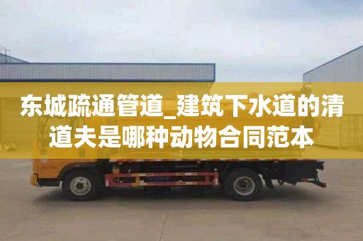 东城疏通管道_建筑下水道的清道夫是哪种动物合同范本