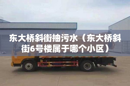 东大桥斜街抽污水（东大桥斜街6号楼属于哪个小区）