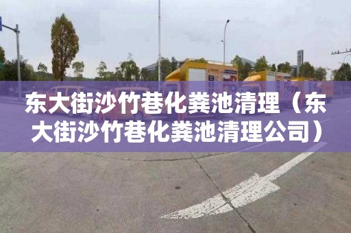 东大街沙竹巷化粪池清理（东大街沙竹巷化粪池清理公司）