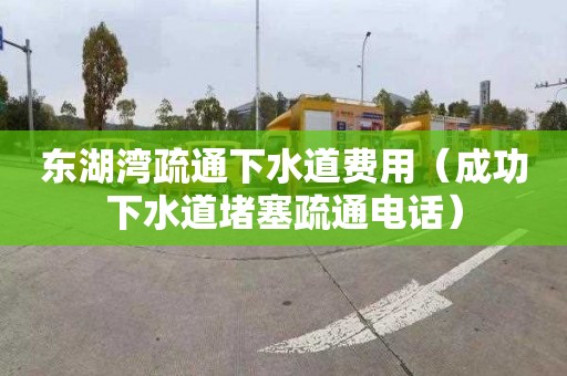 东湖湾疏通下水道费用（成功下水道堵塞疏通电话）