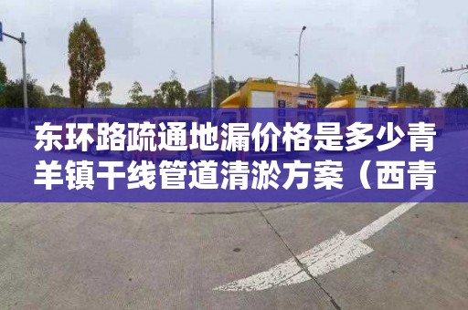 东环路疏通地漏价格是多少青羊镇干线管道清淤方案（西青区管道清淤）