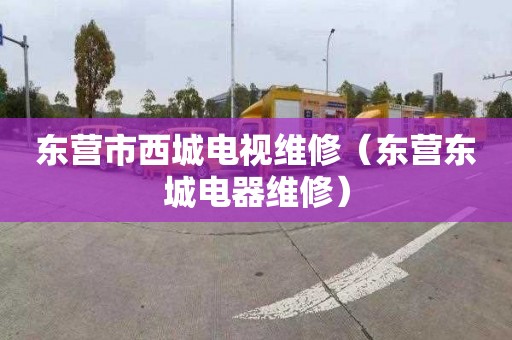 东营市西城电视维修（东营东城电器维修）