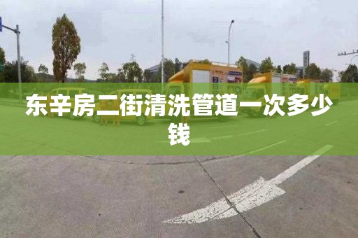 东辛房二街清洗管道一次多少钱