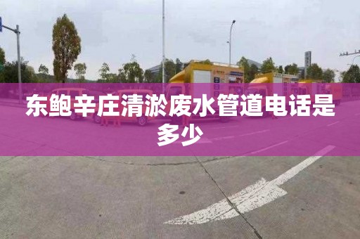 东鲍辛庄清淤废水管道电话是多少