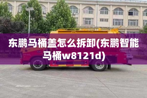 东鹏马桶盖怎么拆卸(东鹏智能马桶w8121d)