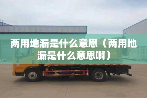 两用地漏是什么意思（两用地漏是什么意思啊）