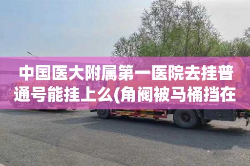 中国医大附属第一医院去挂普通号能挂上么(角阀被马桶挡在后面怎么办图片)