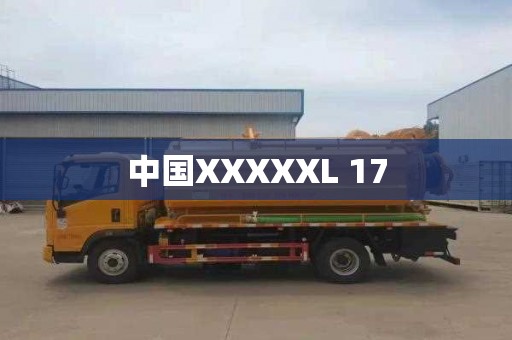 中国XXXXXL 17