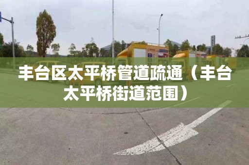 丰台区太平桥管道疏通（丰台太平桥街道范围）