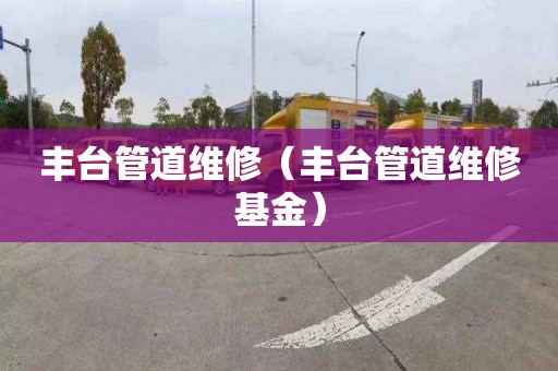 丰台管道维修（丰台管道维修基金）