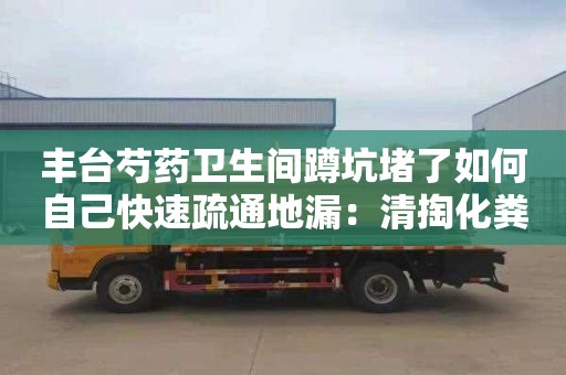 丰台芍药卫生间蹲坑堵了如何自己快速疏通地漏：清掏化粪池价格表