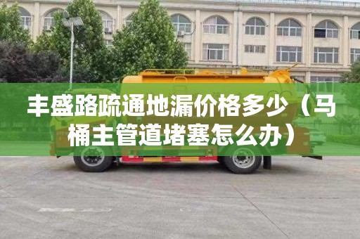 丰盛路疏通地漏价格多少（马桶主管道堵塞怎么办）