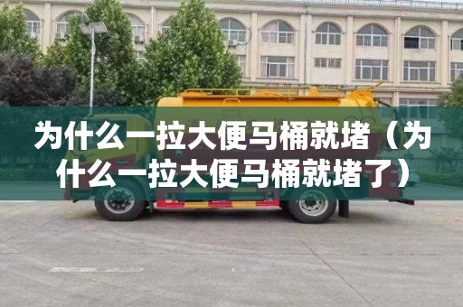 为什么一拉大便马桶就堵（为什么一拉大便马桶就堵了）