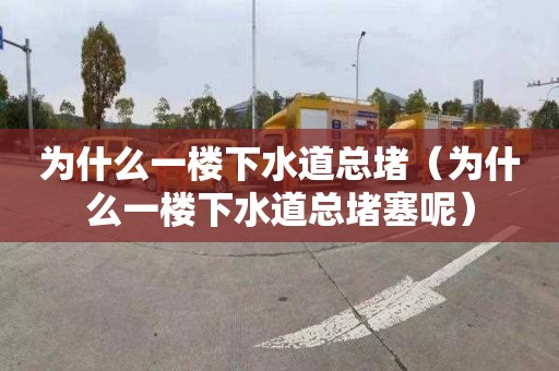 为什么一楼下水道总堵（为什么一楼下水道总堵塞呢）