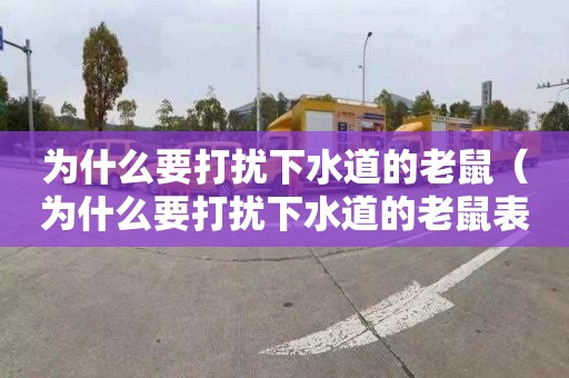 为什么要打扰下水道的老鼠（为什么要打扰下水道的老鼠表情包）