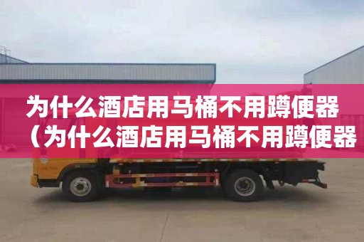 为什么酒店用马桶不用蹲便器（为什么酒店用马桶不用蹲便器了）