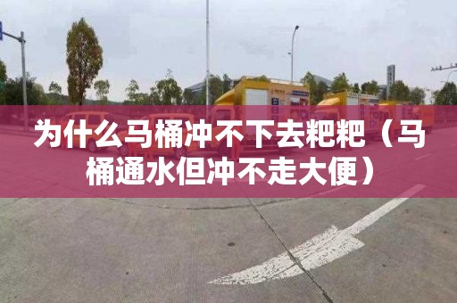 为什么马桶冲不下去粑粑（马桶通水但冲不走大便）