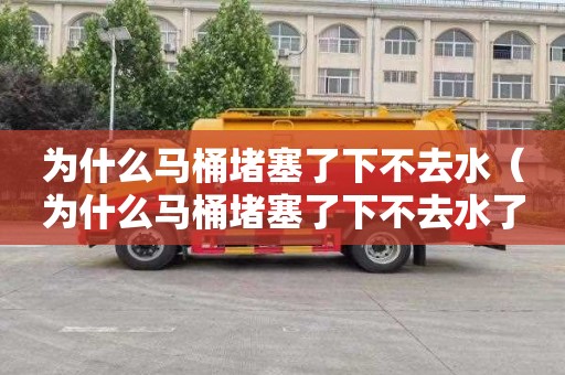 为什么马桶堵塞了下不去水（为什么马桶堵塞了下不去水了）