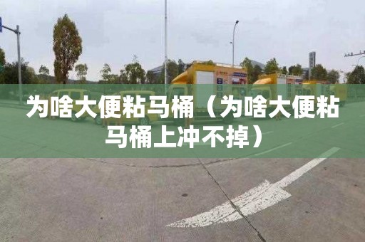 为啥大便粘马桶（为啥大便粘马桶上冲不掉）