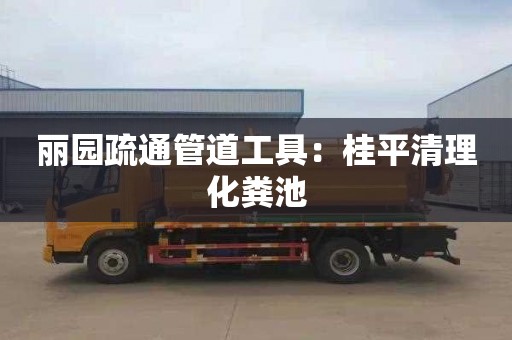 丽园疏通管道工具：桂平清理化粪池