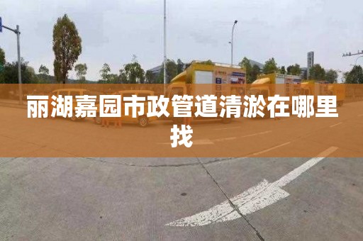 丽湖嘉园市政管道清淤在哪里找