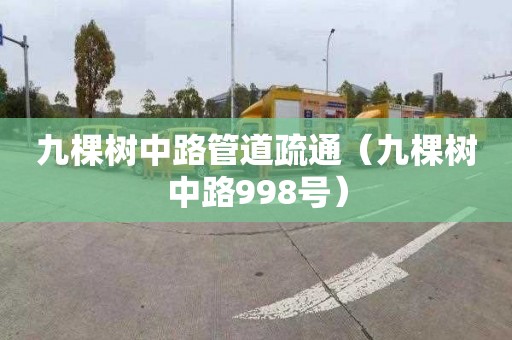 九棵树中路管道疏通（九棵树中路998号）