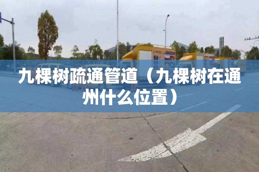 九棵树疏通管道（九棵树在通州什么位置）