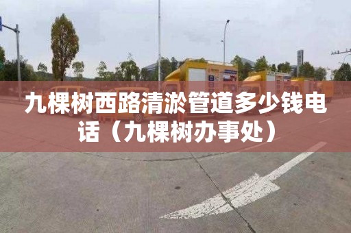 九棵树西路清淤管道多少钱电话（九棵树办事处）