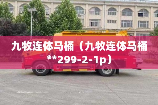 九牧连体马桶（九牧连体马桶**299-2-1p）