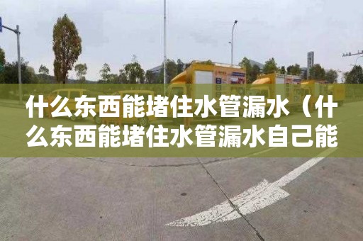 什么东西能堵住水管漏水（什么东西能堵住水管漏水自己能修好）