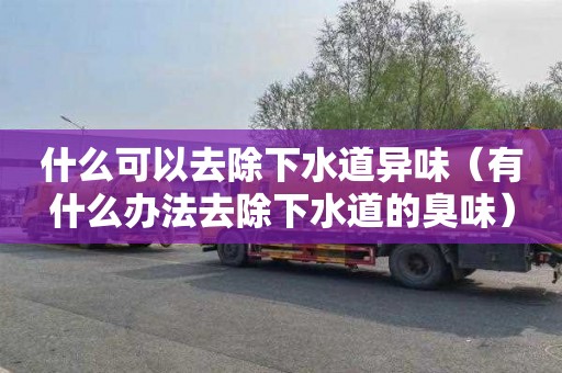 什么可以去除下水道异味（有什么办法去除下水道的臭味）