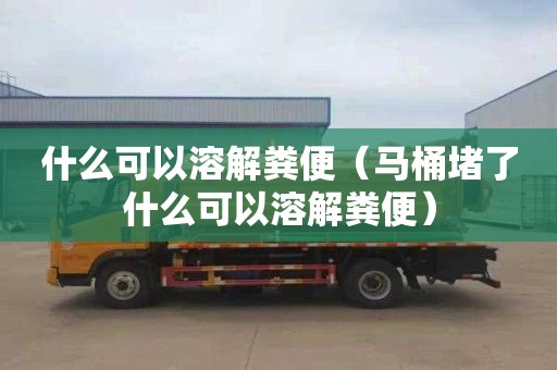 什么可以溶解粪便（马桶堵了什么可以溶解粪便）