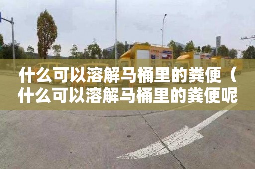 什么可以溶解马桶里的粪便（什么可以溶解马桶里的粪便呢）