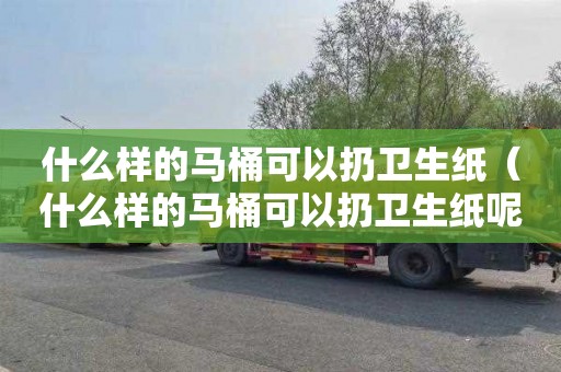 什么样的马桶可以扔卫生纸（什么样的马桶可以扔卫生纸呢）