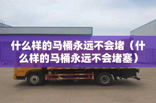 什么样的马桶永远不会堵（什么样的马桶永远不会堵塞）