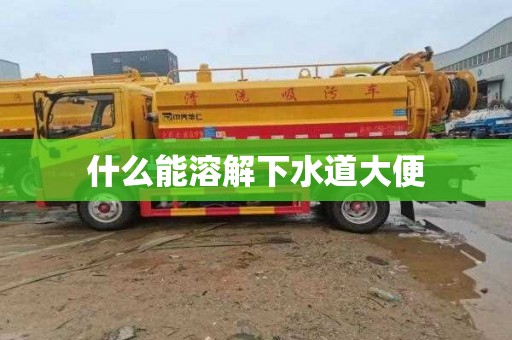 什么能溶解下水道大便