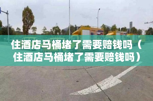 住酒店马桶堵了需要赔钱吗（住酒店马桶堵了需要赔钱吗）