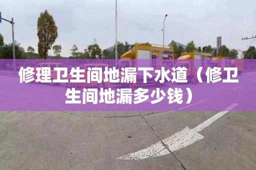 修理卫生间地漏下水道（修卫生间地漏多少钱）