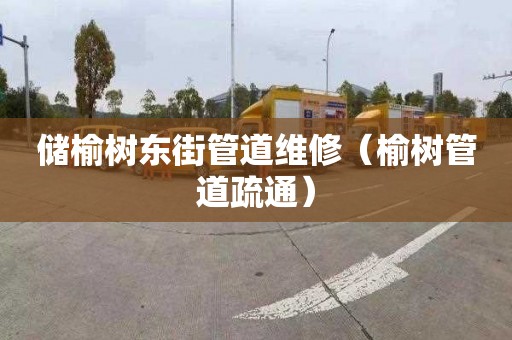 储榆树东街管道维修（榆树管道疏通）