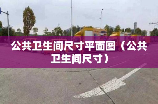 公共卫生间尺寸平面图（公共卫生间尺寸）