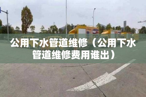 公用下水管道维修（公用下水管道维修费用谁出）