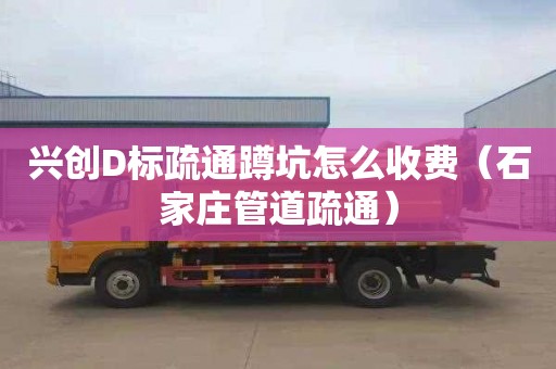 兴创D标疏通蹲坑怎么收费（石家庄管道疏通）