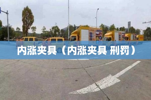 内涨夹具（内涨夹具 刑罚）