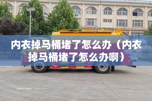 内衣掉马桶堵了怎么办（内衣掉马桶堵了怎么办啊）