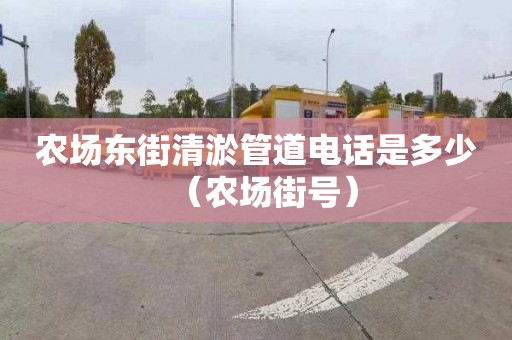 农场东街清淤管道电话是多少（农场街号）