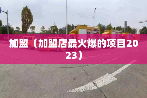 加盟（加盟店最火爆的项目2023）