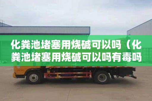 化粪池堵塞用烧碱可以吗（化粪池堵塞用烧碱可以吗有毒吗）